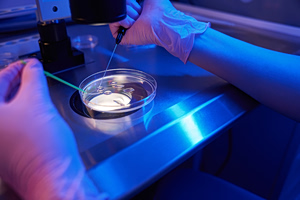 IVF Scandal: Wrong Donors Used on Dozens of UK Families