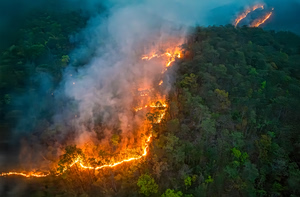 Indonesia’s Wildfires Nearly Double in July Alone