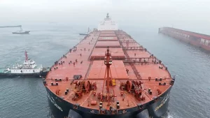 Chief Engineer Killed After Greek-Owned Bulker Is Hit in Strait of Hormuz