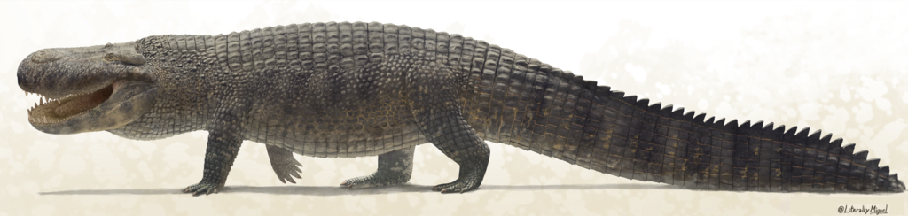 The Prehistoric Giant Alligator That Hunted Big Mammals