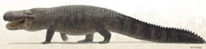 The Prehistoric Giant Alligator That Hunted Big Mammals