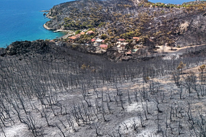 The ‘Invisible’ Wounds Left Behind by the Salamina Fires