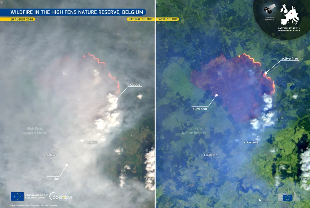 Climate Change Could Triple Europe’s Burned Land Area