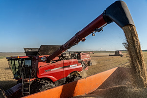 Black Sea Grain Attacks Fuel Fears Of Market Shock