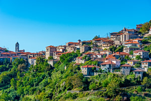 Greek Villages Shrink as Olive Groves Run Wild