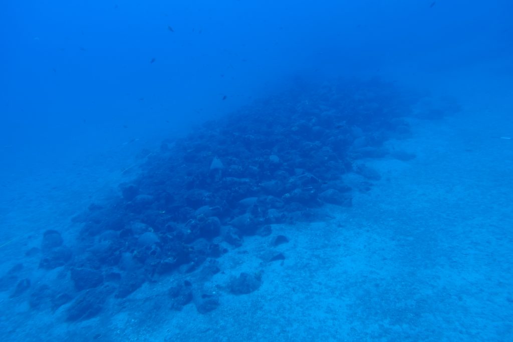 Ancient Shipwreck in Andros Holds 650 Amphorae