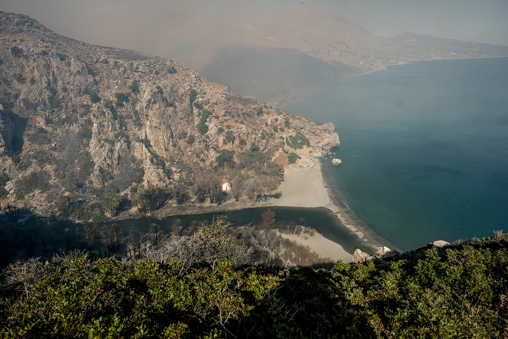 Preveli Palm Forest Could Recover Within Three Years