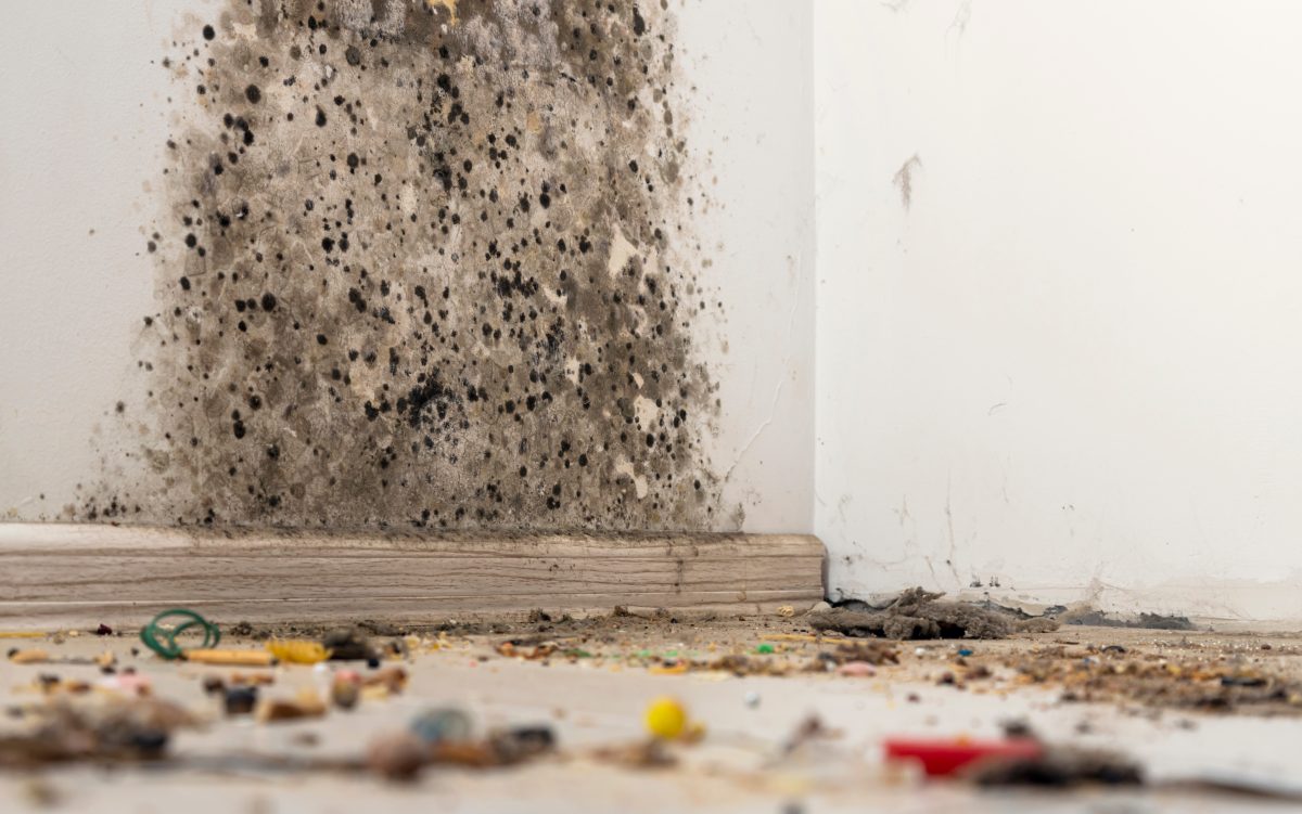 Landlord in Athens Finds Rental Home in Shocking State