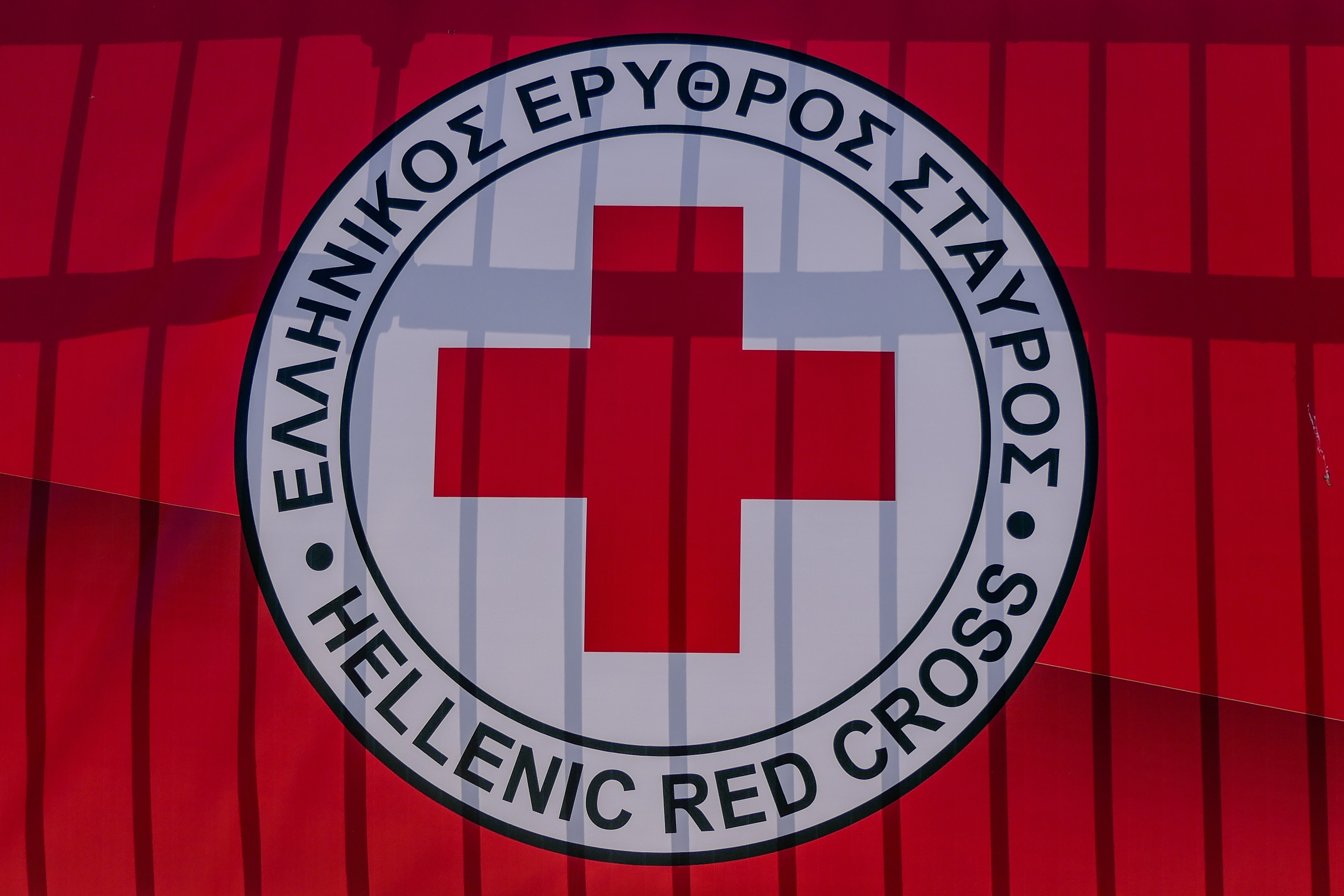 Greek Red Cross to Offer Free First Aid Training for Dogs in Athens