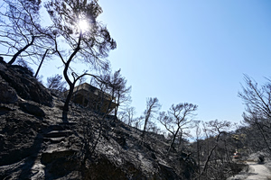 Greece Issues Red Code Fire Alert for 11 Regions