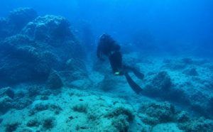 Spearfishers Describe Terror of Illegal Dynamite Explosions in Water