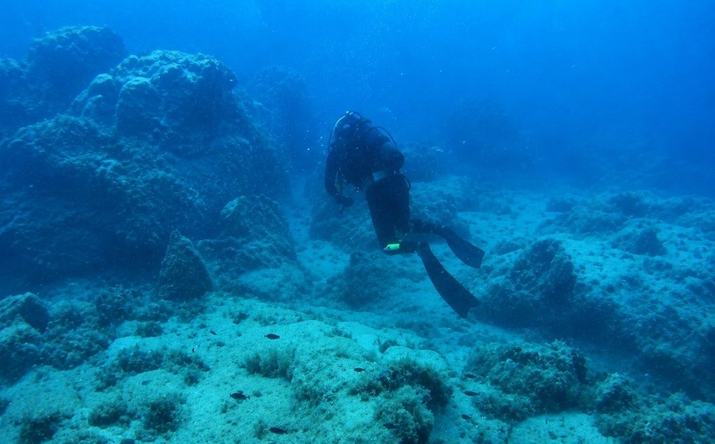 Spearfishers Describe Terror of Illegal Dynamite Explosions in Water