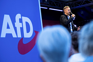The Politics of Loss: Why the AfD Keeps Rising