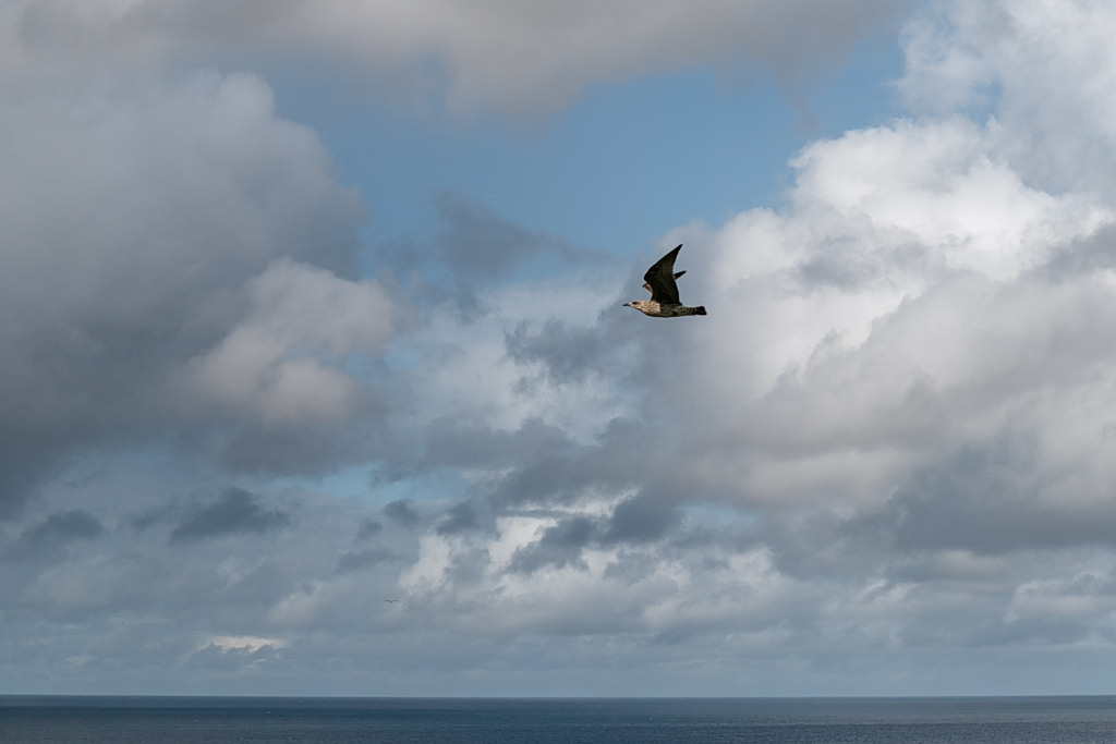 Weather Shift Ahead: Brief Storms And Showers On The Way