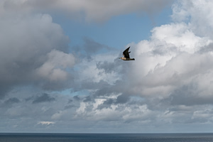 Weather Shift Ahead: Brief Storms And Showers On The Way