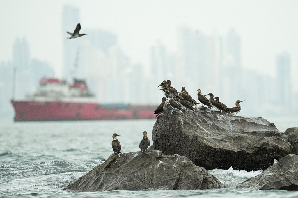 El Niño Could Become Strongest Ever Recorded, WMO Warns