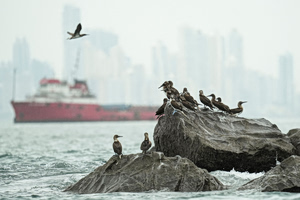 El Niño Could Become Strongest Ever Recorded, WMO Warns