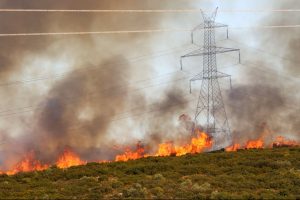 Two Arrested Over Boeotia Wildfire