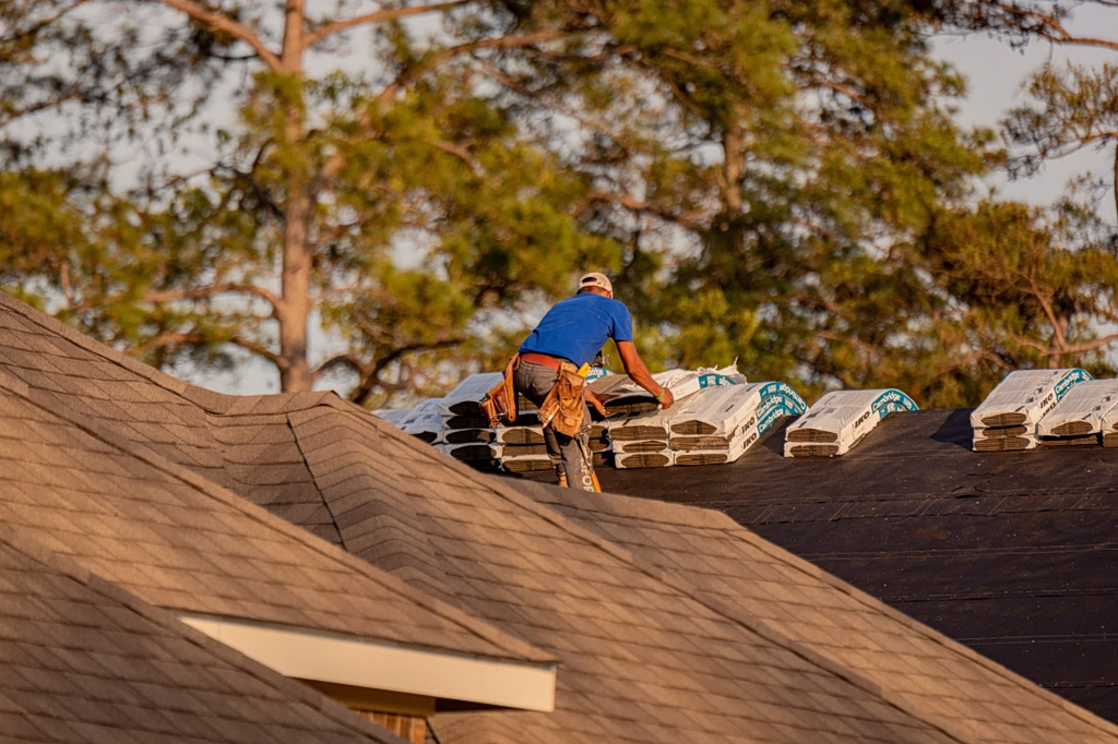 Mold Is Driving America’s Homeowners Crazy—and They Want Builders to Pay
