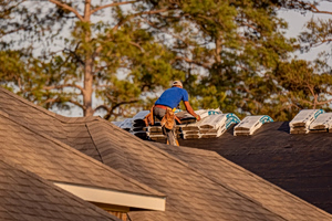 Mold Is Driving America’s Homeowners Crazy—and They Want Builders to Pay