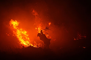 Europe Cannot Fight Wildfires Without its Farmers