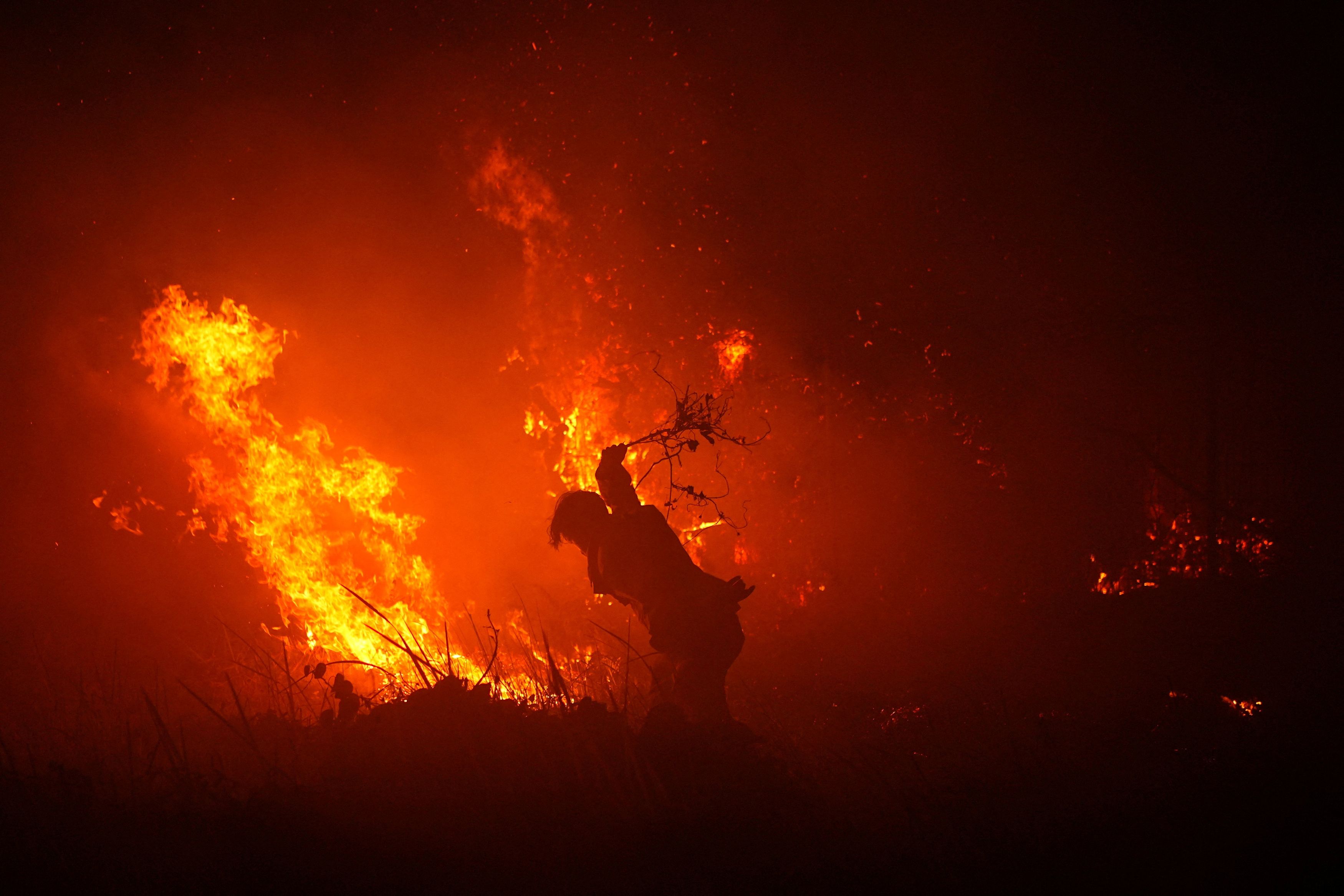 Europe Cannot Fight Wildfires Without its Farmers