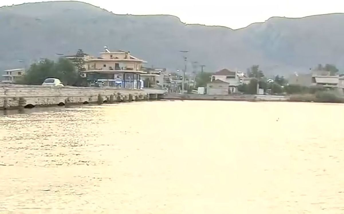 Messolonghi ecological disaster