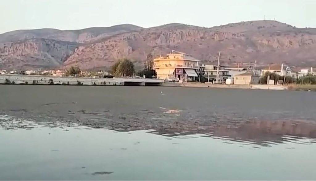 Messolonghi’s Lagoon Sinks Under a Slow-Motion Ecological Disaster