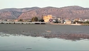 Messolonghi’s Lagoon Sinks Under a Slow-Motion Ecological Disaster