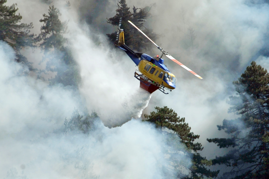 Konitsa Wildfire Damage Could Take a Century to Restore