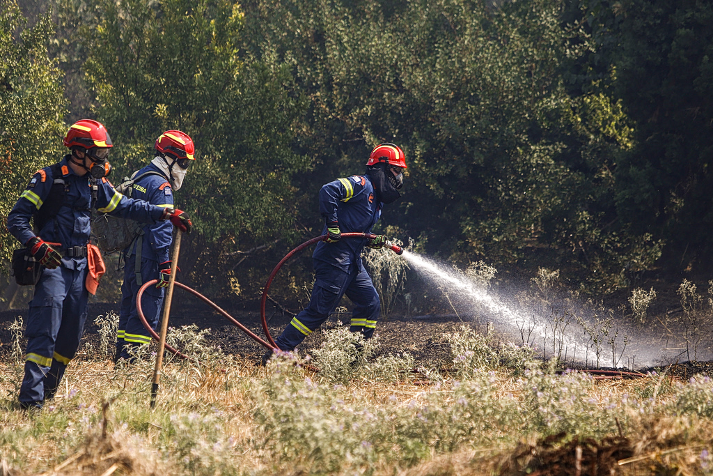 Fire Service Makes Four Arrests for Arson, Fire Code Violations