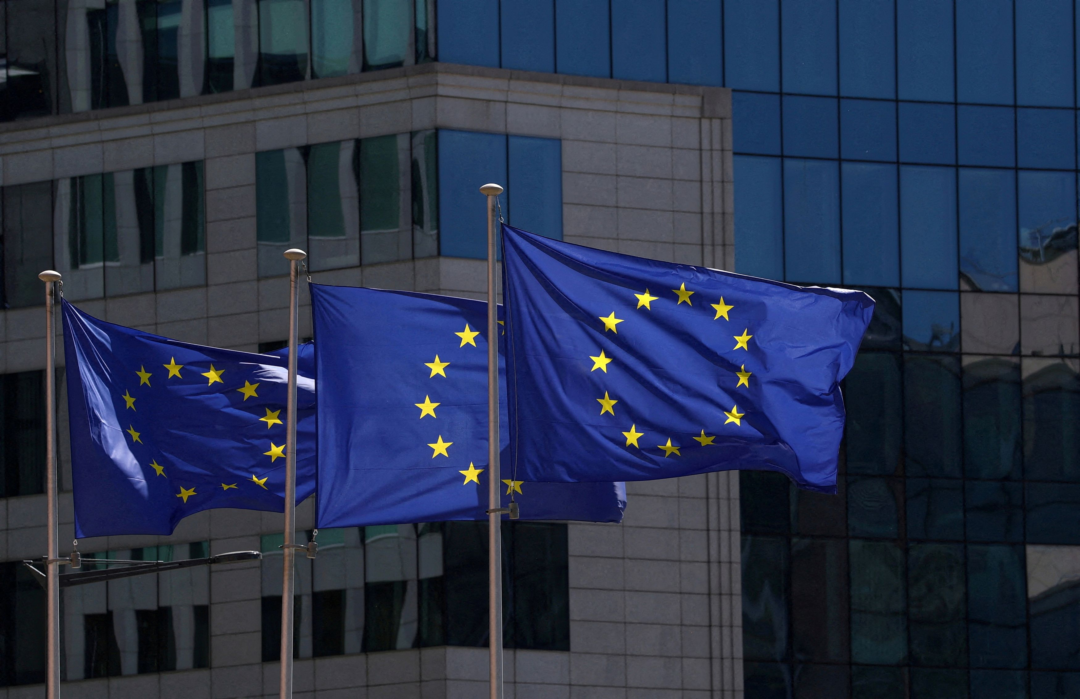 EU Parliament to Remove Carbon Border Levy Suspension Clause