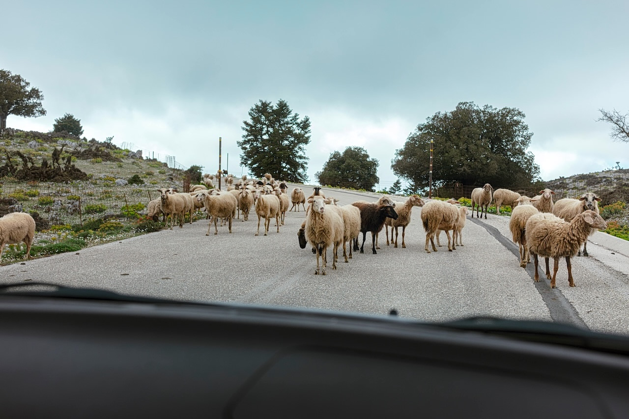 Is Driving in Greece Difficult?