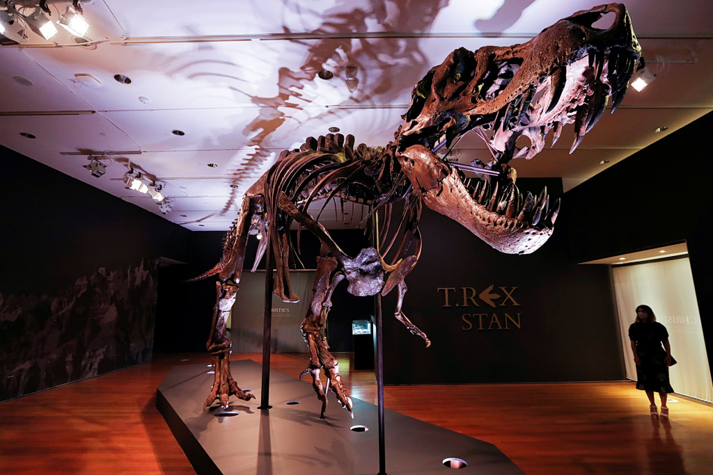 T. Rex Body Temp Surprisingly Close to Humans, New Study Confirms