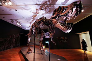 T. Rex Body Temp Surprisingly Close to Humans, New Study Confirms