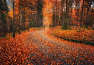 Fall Travel: The Cheapest Off Season Destinations