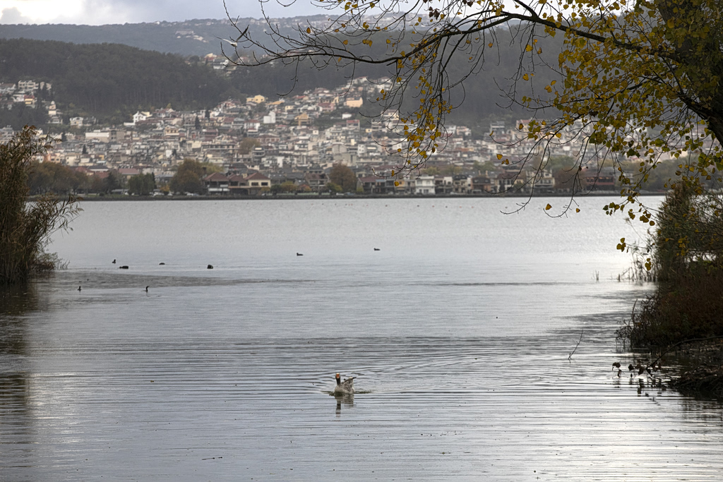 WWII Shells Found During Lake Pamvotida Cleanup