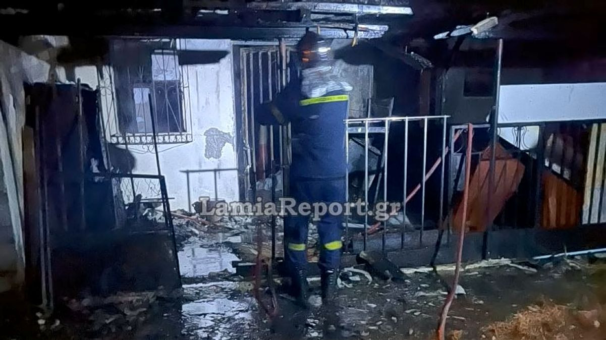 Woman, 32, Dies in Overnight House Fire in Central Greece Village