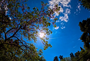 Sunny Skies, Chilly Temps Thursday; Rain Returns Friday