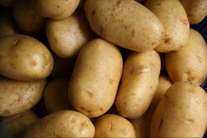 Famed Naxos Potato Under Pressure as Water, Labor, Imports Threaten Isle Staple