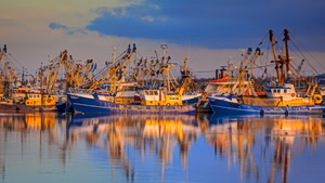 Climate Change Puts Europe’s Fisheries at Risk