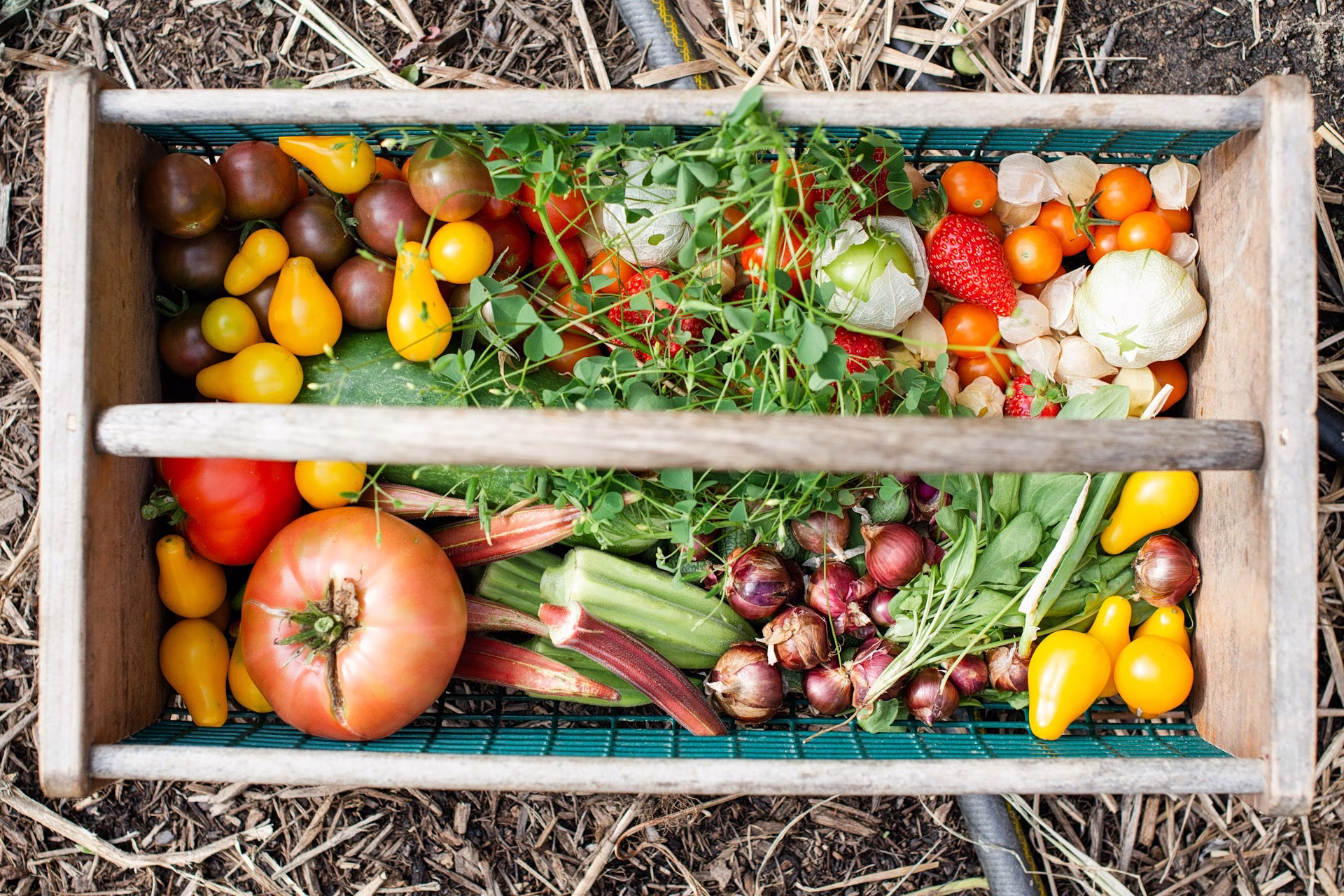 A Walk Through Attica’s Farms