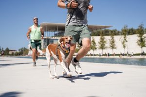 SNFCC Marks World Animal Day on Oct. 4 with Penny Marathon