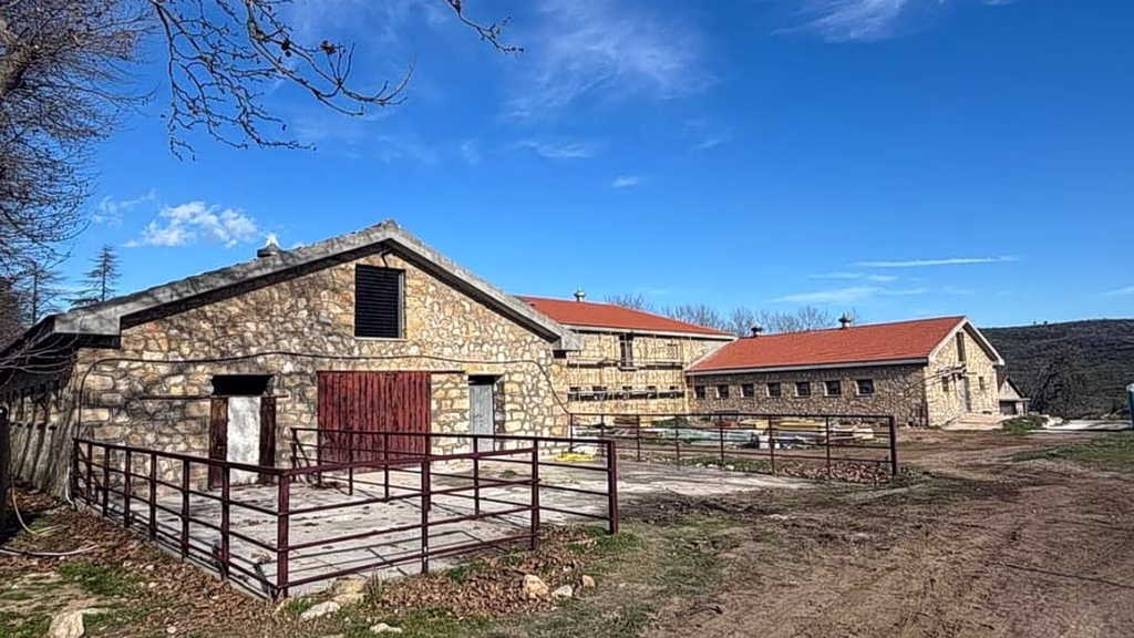 Tatoi: From Former Royal Retreat to a New Cultural Landscape