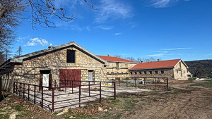 Tatoi: From Former Royal Retreat to a New Cultural Landscape