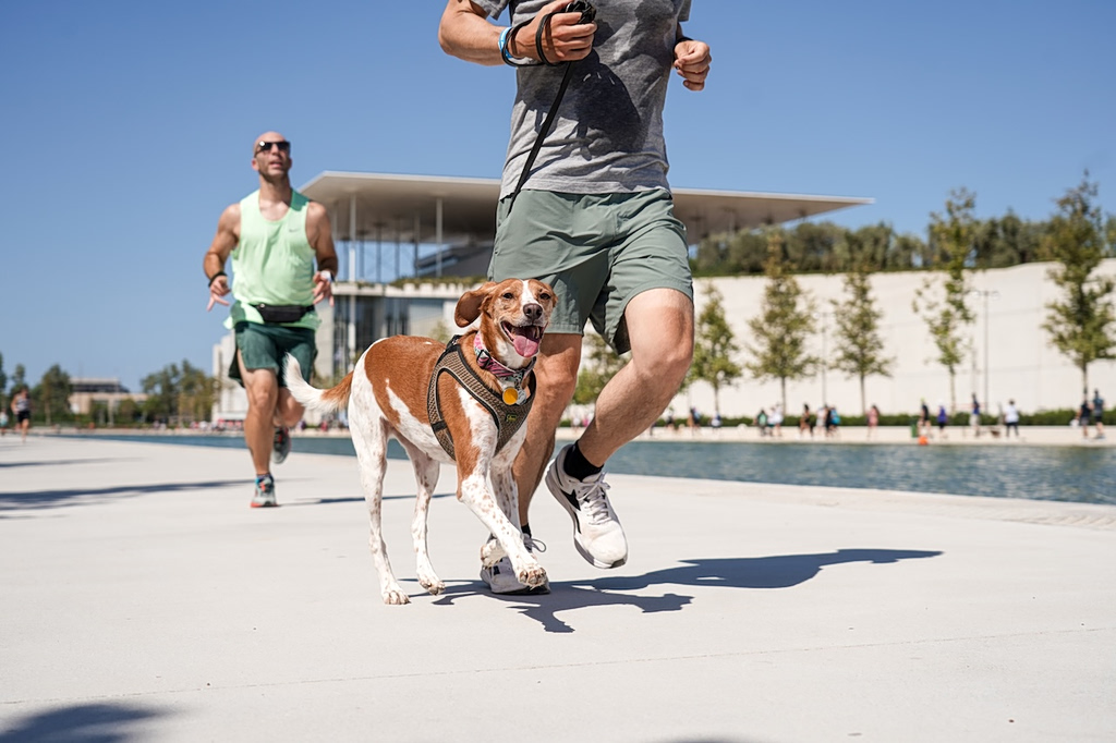 SNFCC Marks World Animal Day on Oct. 4 with Penny Marathon