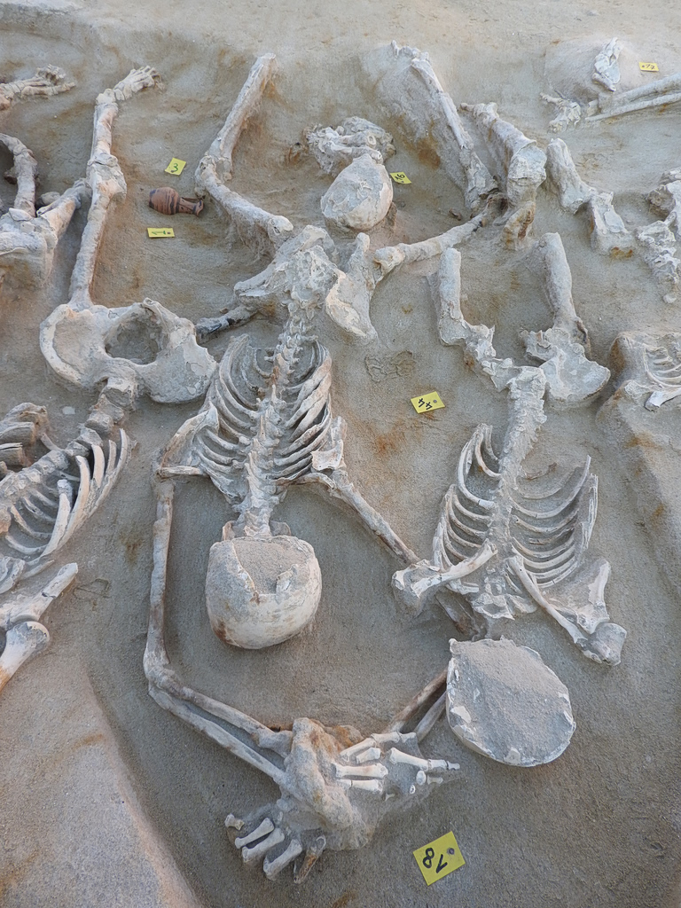 An image of the excavation of the Skeletons of Phaleron, where 79 adult men were found, many bound with iron restraints. ©MINISTRY OF CULTURE—PHALERON EXCAVATION ARCHIVE