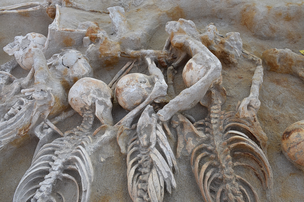 ©MINISTRY OF CULTURE—PHALERON EXCAVATION ARCHIVE