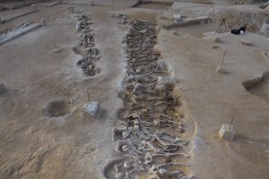 The Skeletons of Phaleron and Athens’ Hill of Secrets