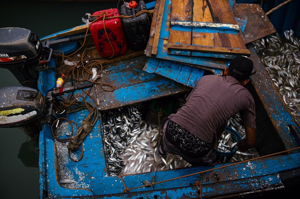 Greece’s Seafood Problem Starts Elsewhere